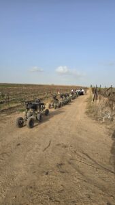 יום גיבוש לעובדים